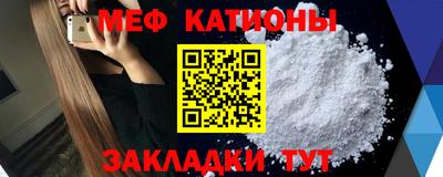 шишки Заволжье