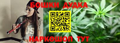 шишки Заволжье