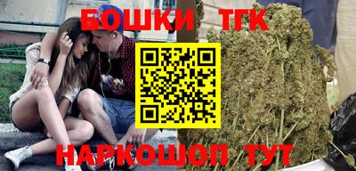 шишки Заволжье