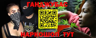 шишки Заволжье