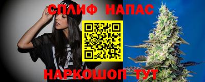 шишки Заволжье