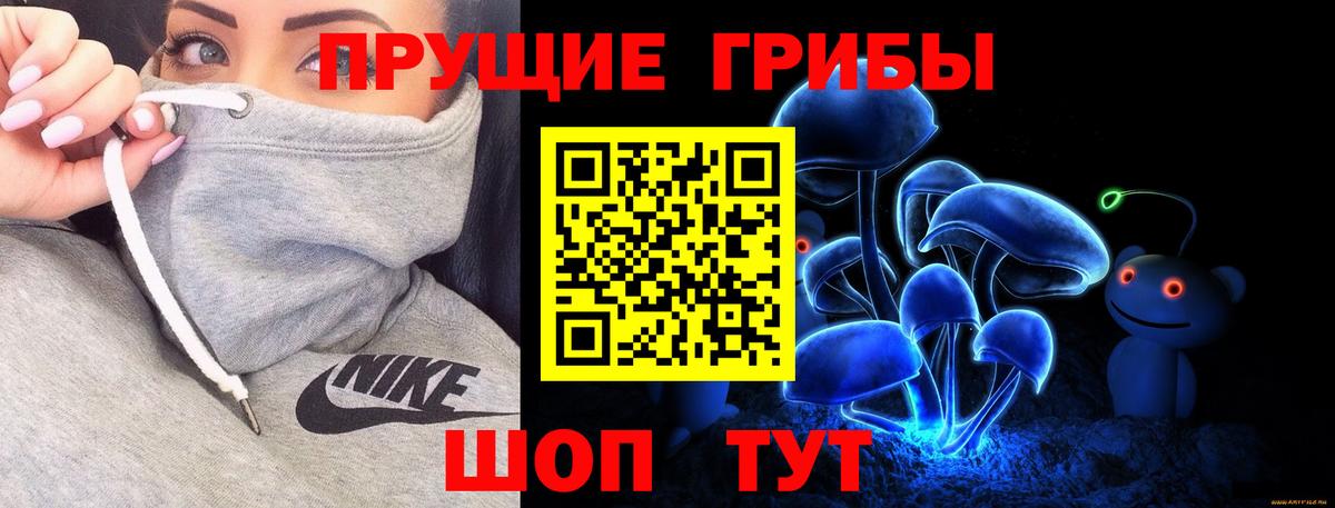 Псилоцибиновые грибы Psilocybe Кумертау
